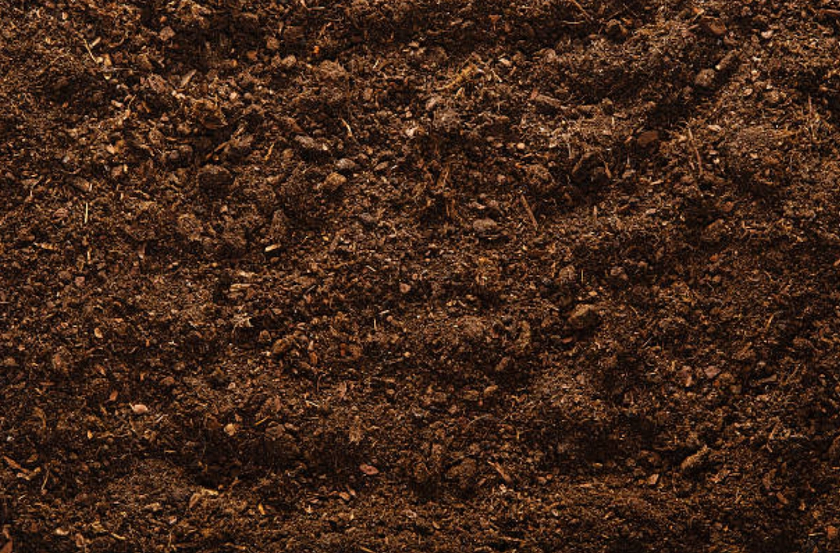 how to make soil more acidic