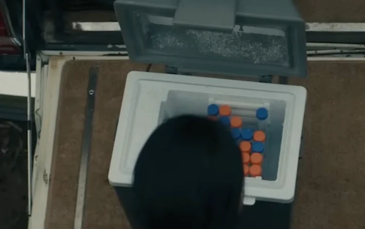 last man on earth story explained
