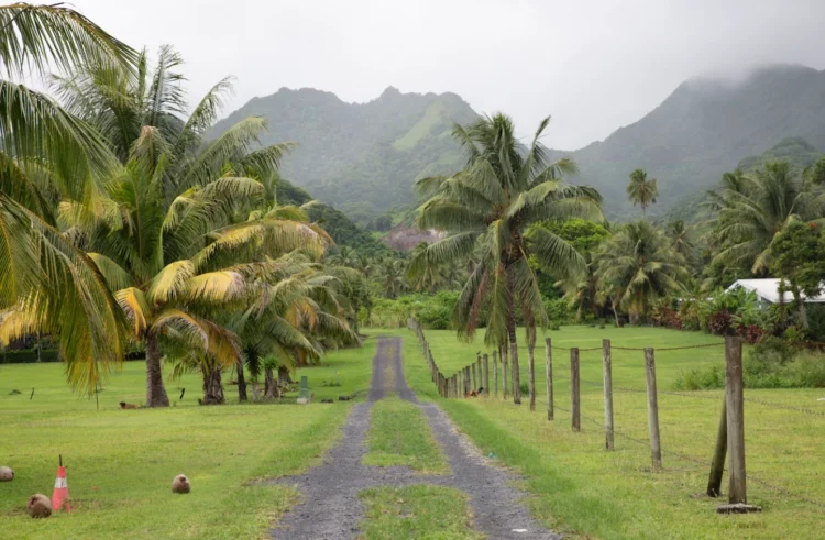 Cook Islands travel guide