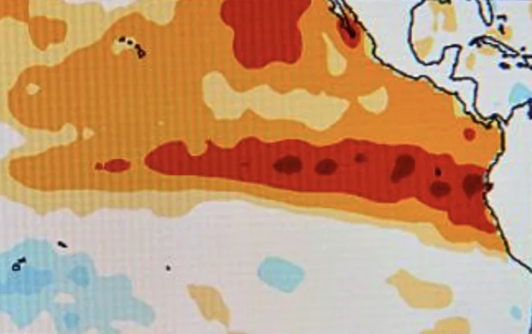 El Niño forecast 2026