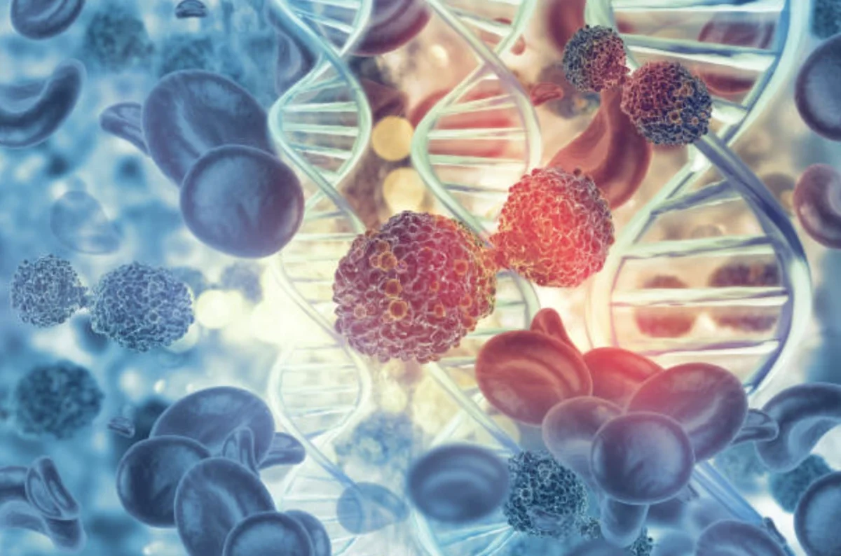 multiple myeloma CAR-T therapy