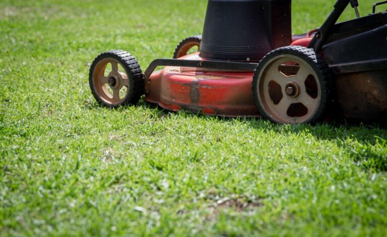 Close-up of a lawn mower cutting grass as part of a fall lawn care routine
