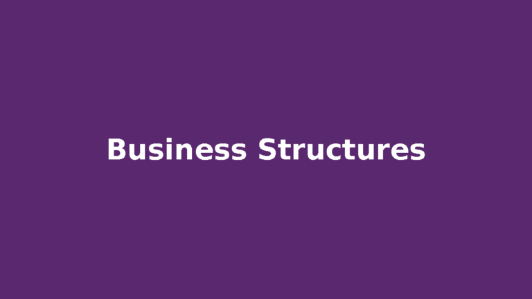 Business structure types guide