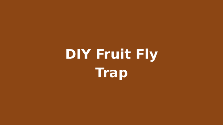 DIY fruit fly trap