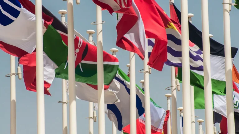 Flags of different countries on white flagpoles at an international summit